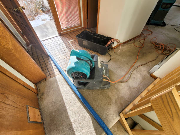 Best Sewage cleanup and water damage restoration  in Eunice, LA