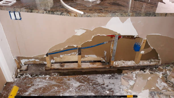 Best Flood damage cleanup  in Eunice, LA