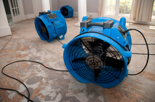 Best Water damage restoration process  in Eunice, LA