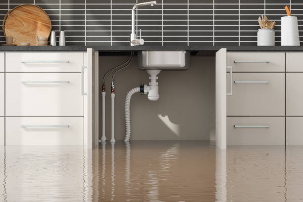 Best Sewage cleanup and water damage restoration  in Eunice, LA